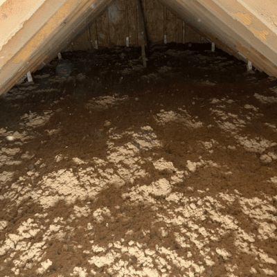 Fort Wayne Affordable Cellulose about