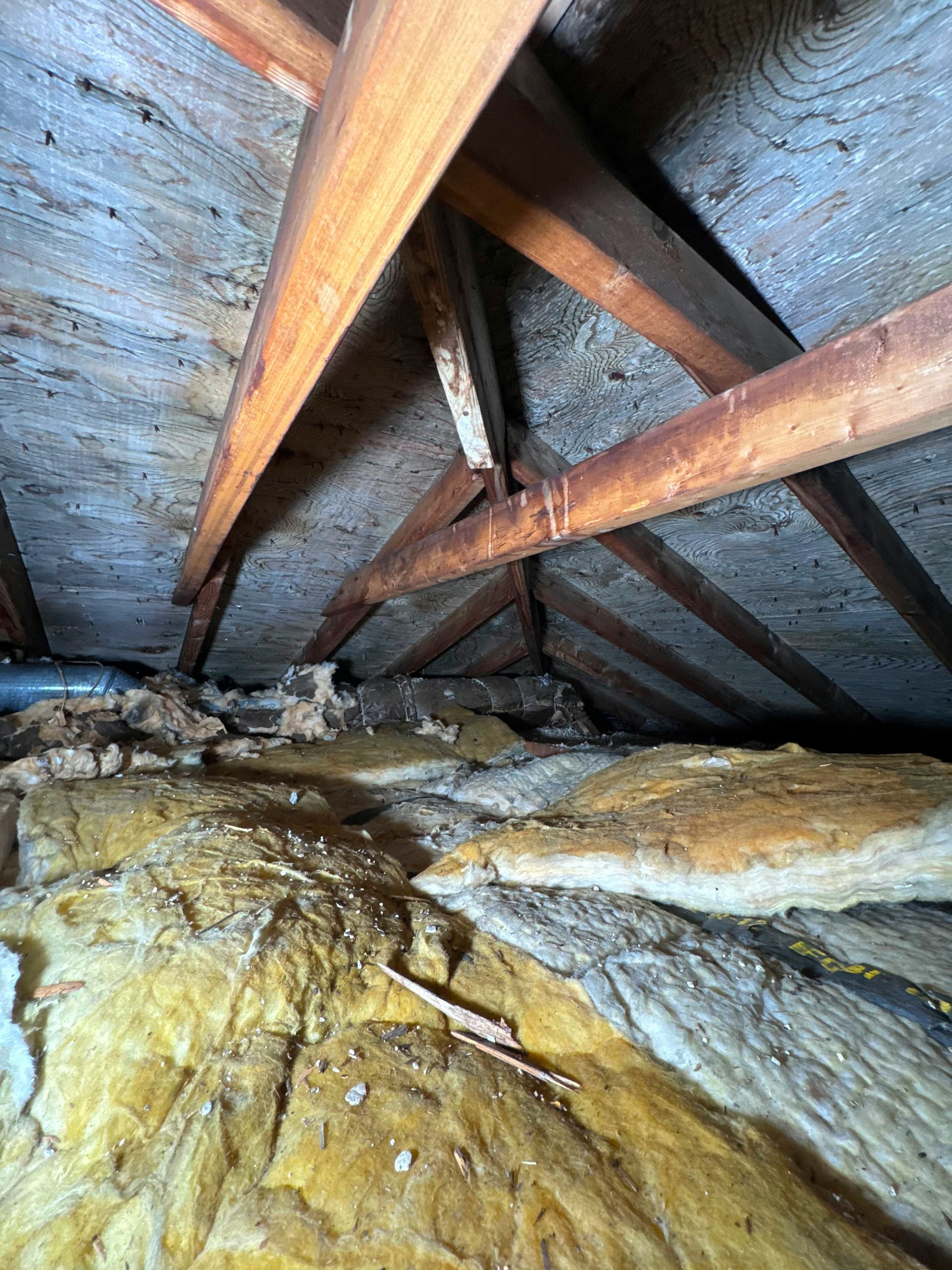 Yellow fiberglass insulation between wooden roof rafters in a dark attic space